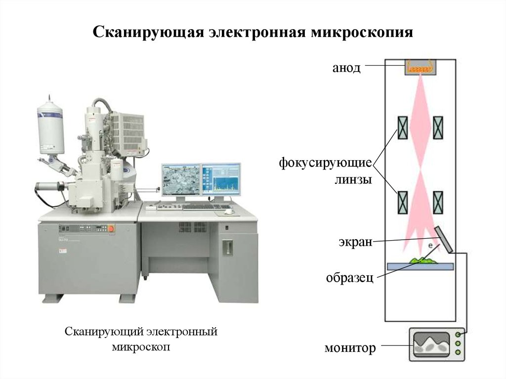 Сканирующая электронная микроскопия. Сканирующий электронный микроскоп Сэм. Сканирующая электронная микроскопия принцип метода. Растровая (сканирующая) электронная микроскопия. Сканирующий электронный микроскоп схема.