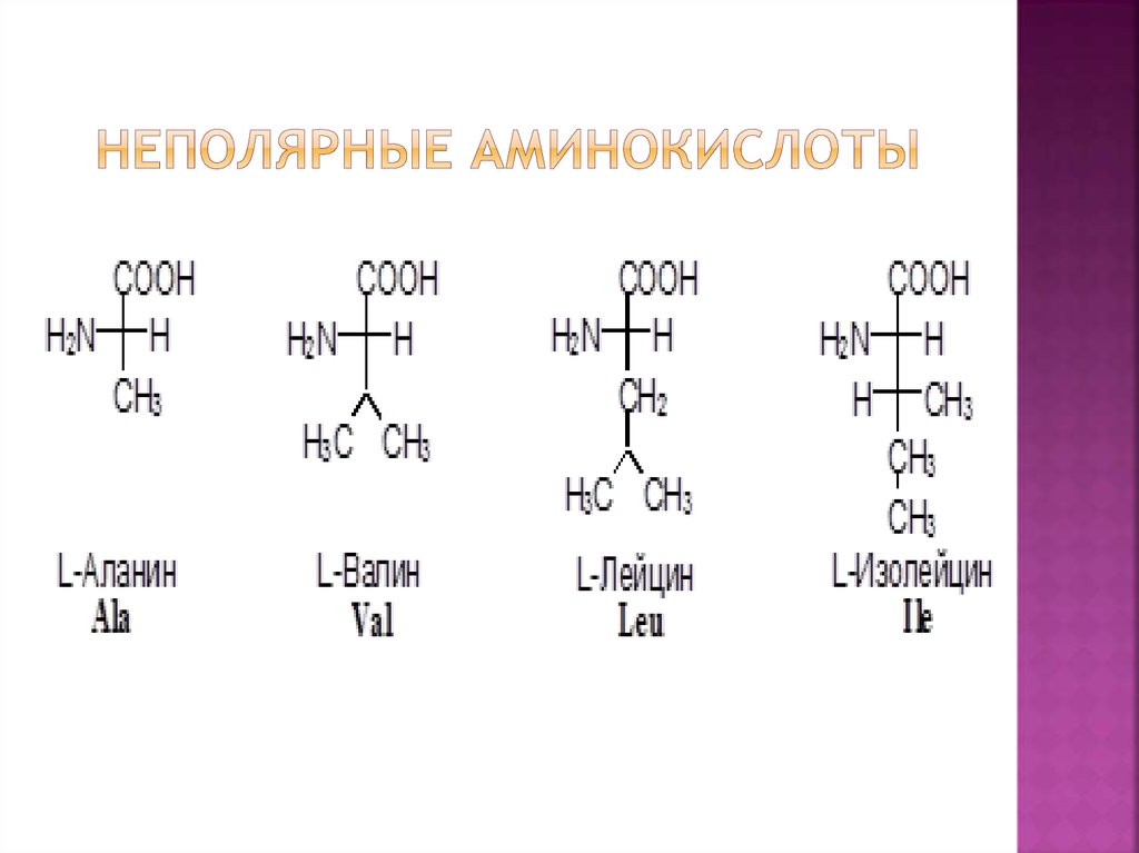 Состав радикалов аминокислот. Неполярные незаряженные аминокислоты. Формулы аминокислот с неполярными радикалами. Гидрофобные радикалы аминокислот. Аминокислоты с неполярными радикалами.