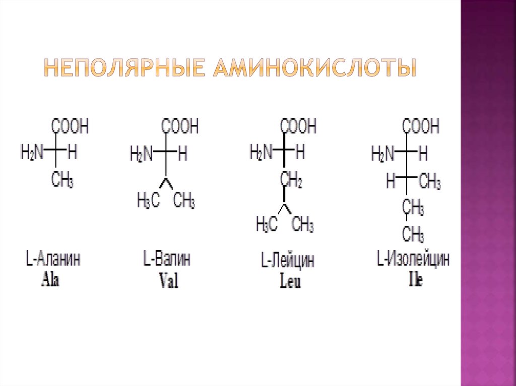 Состав радикалов аминокислот