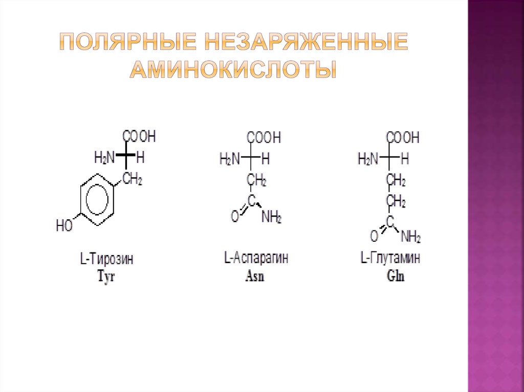 Состав радикалов аминокислот