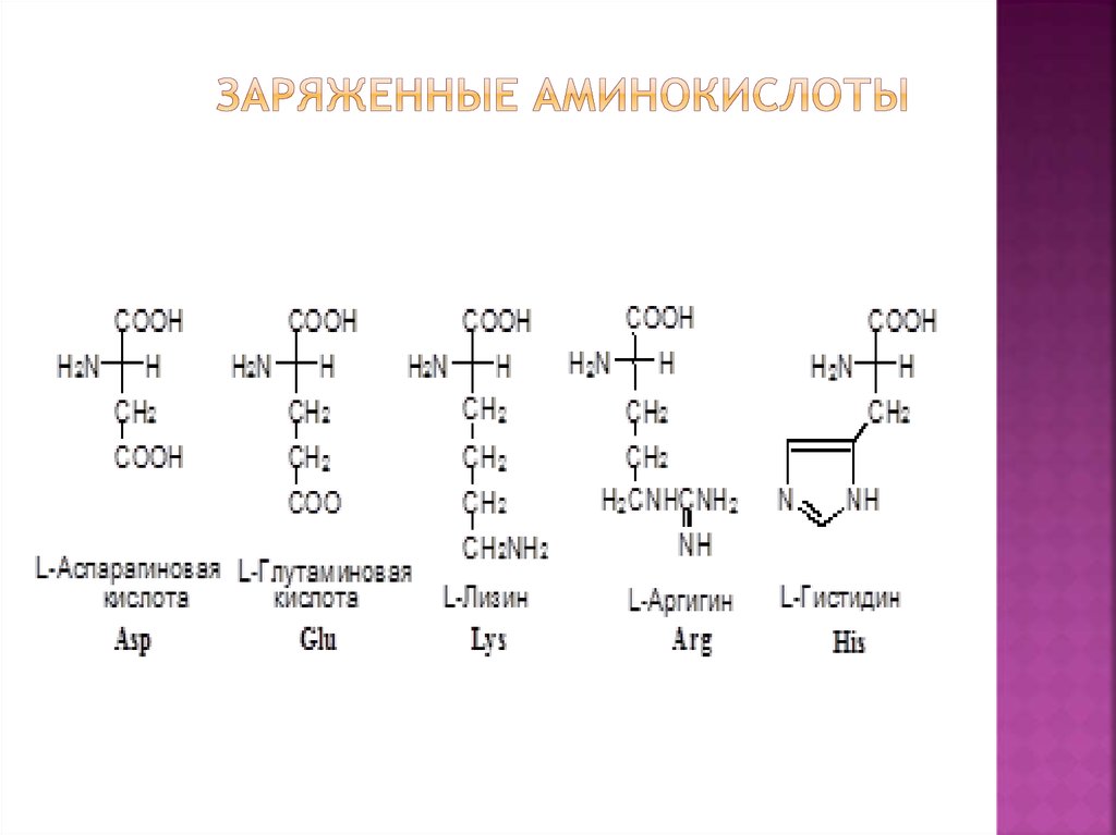 Аминокислотные последовательности белков