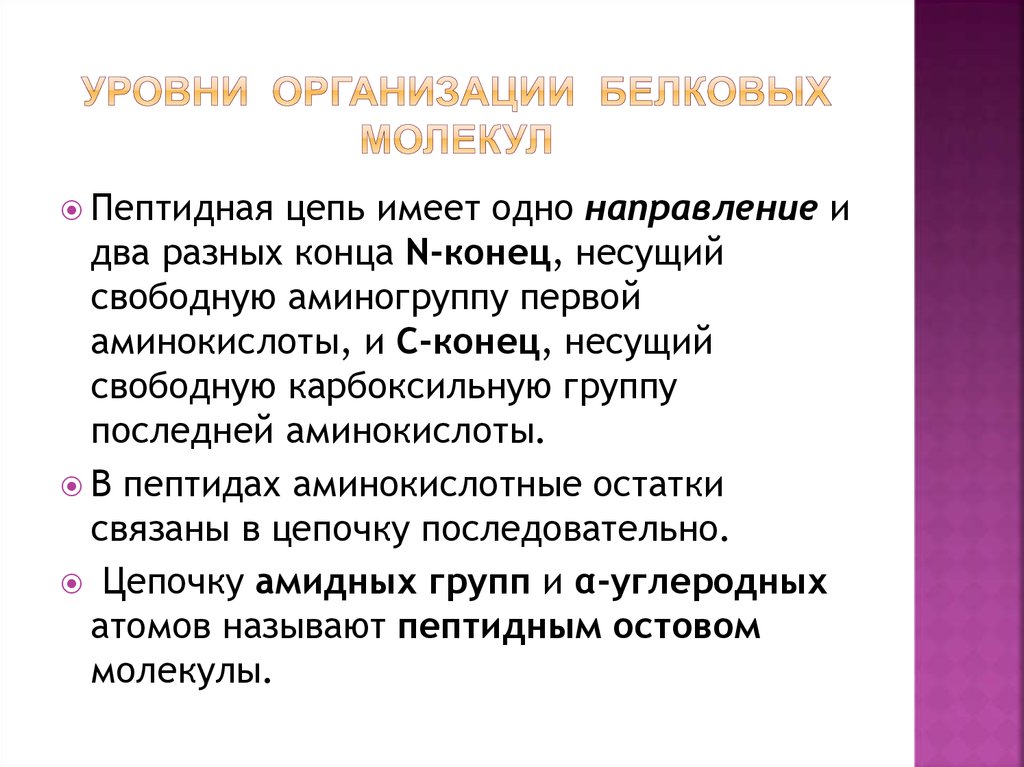 В организации белковых. Уровни организации белковых молекул. Уровень организации пептида. Уровни укладки белковых молекул.