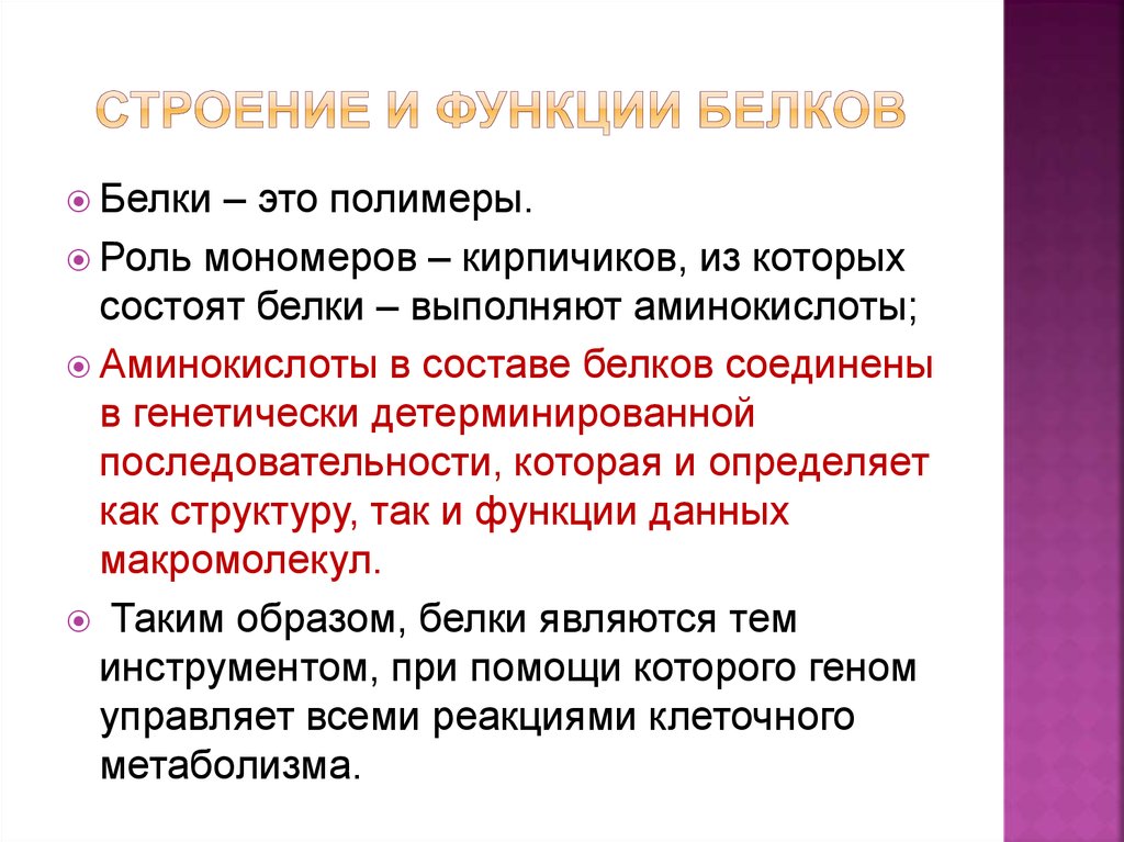 Белки и их функции. Белки их строение и функции кратко. Функции белков и их свойства. Строение белков, структуры и функции. Строение и функции Белко.