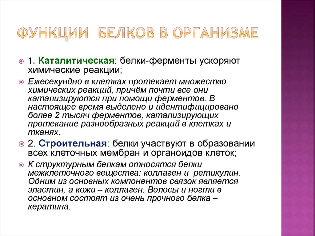 Функция белков ускоряют химические реакции. Функции белков в организме. Функции белков в организме человека. Функции белка в организме. Белки функции в организме.