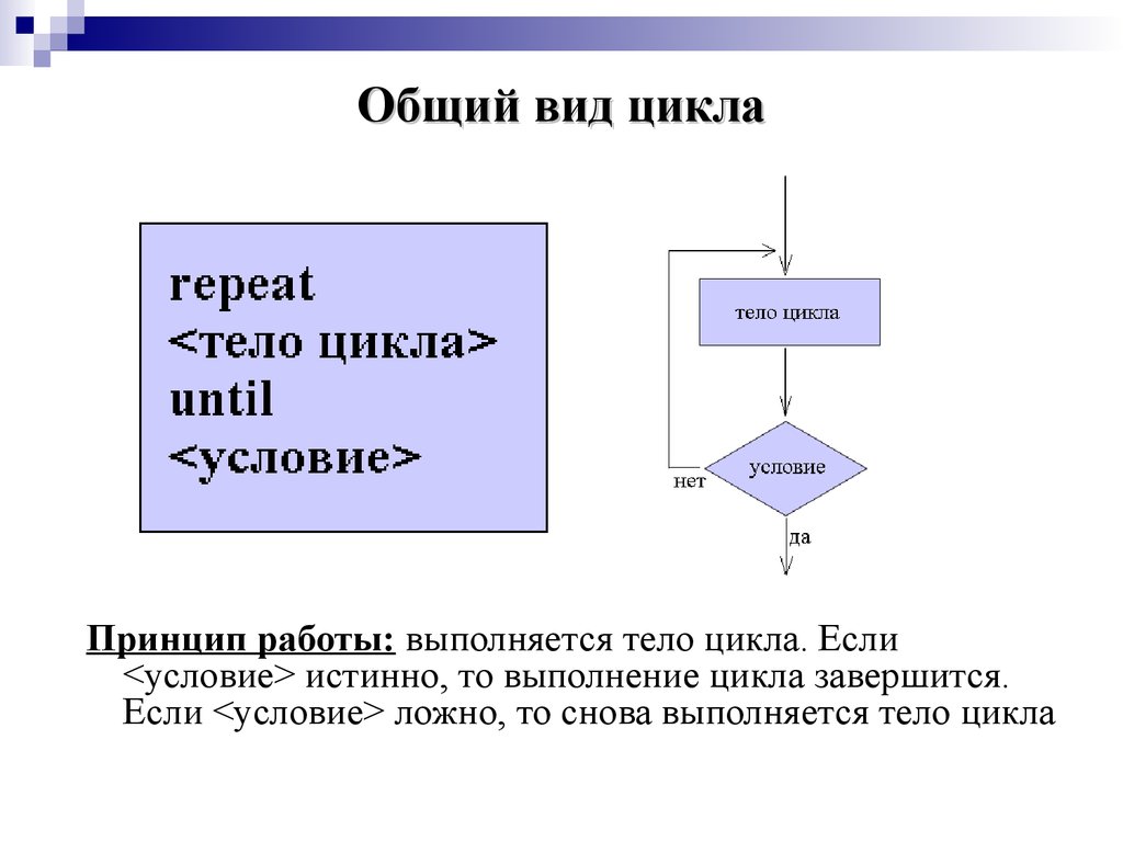 Цикл с условием презентация. Типы циклов в Паскале. Оператор цикла с постусловием repeat в Паскале. Циклы на языке Паскаль. Цикл форм Паскаль.