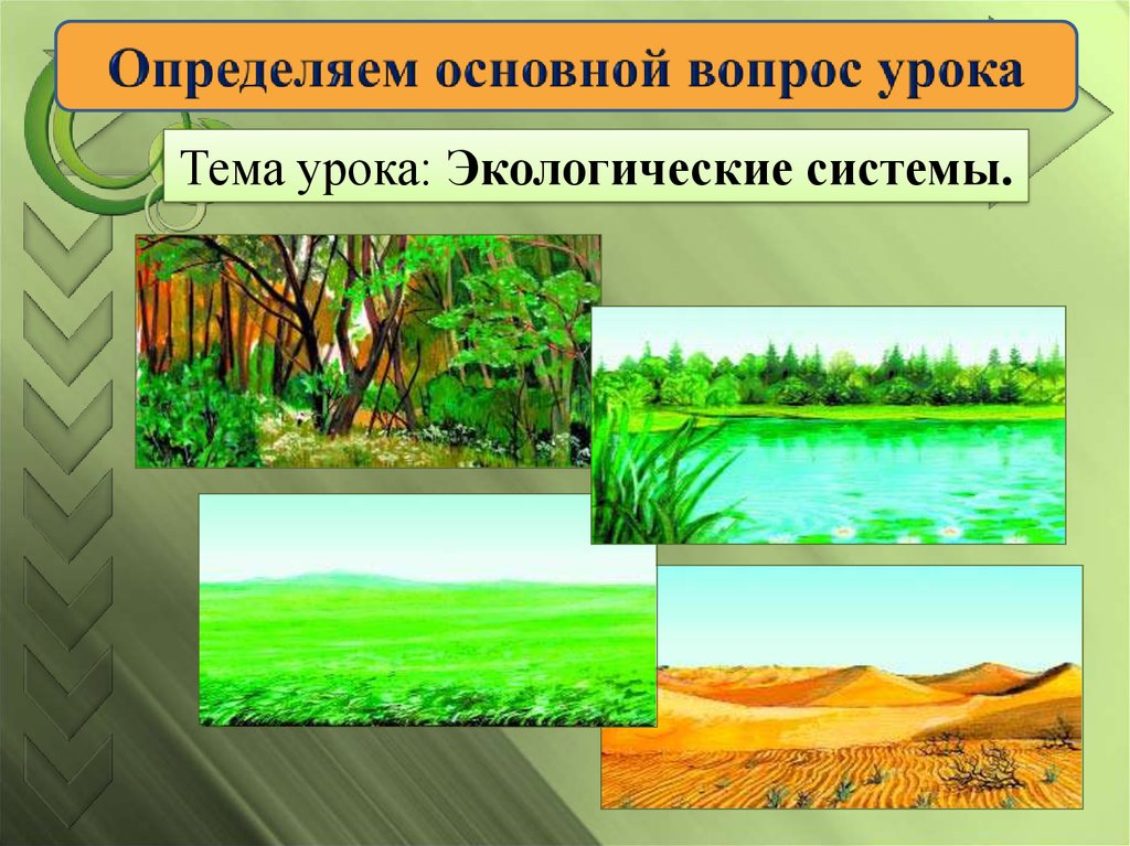 Экология урок 2. Экологические системы 2 класс. Природные системы. Урок экологии. Слайды для презентации по окружающему миру.