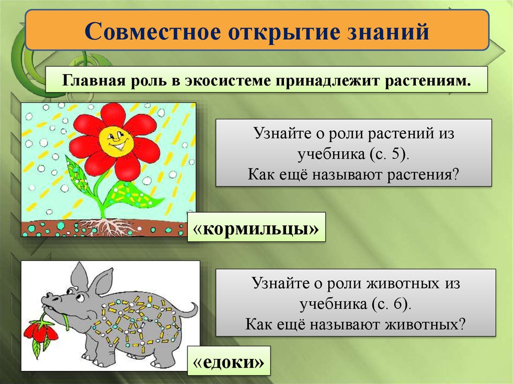 Растения кормильцы. Роль в экосистеме. Роль растений в экосистеме. Функция растений в экосистеме. Экосистема 2 класс.