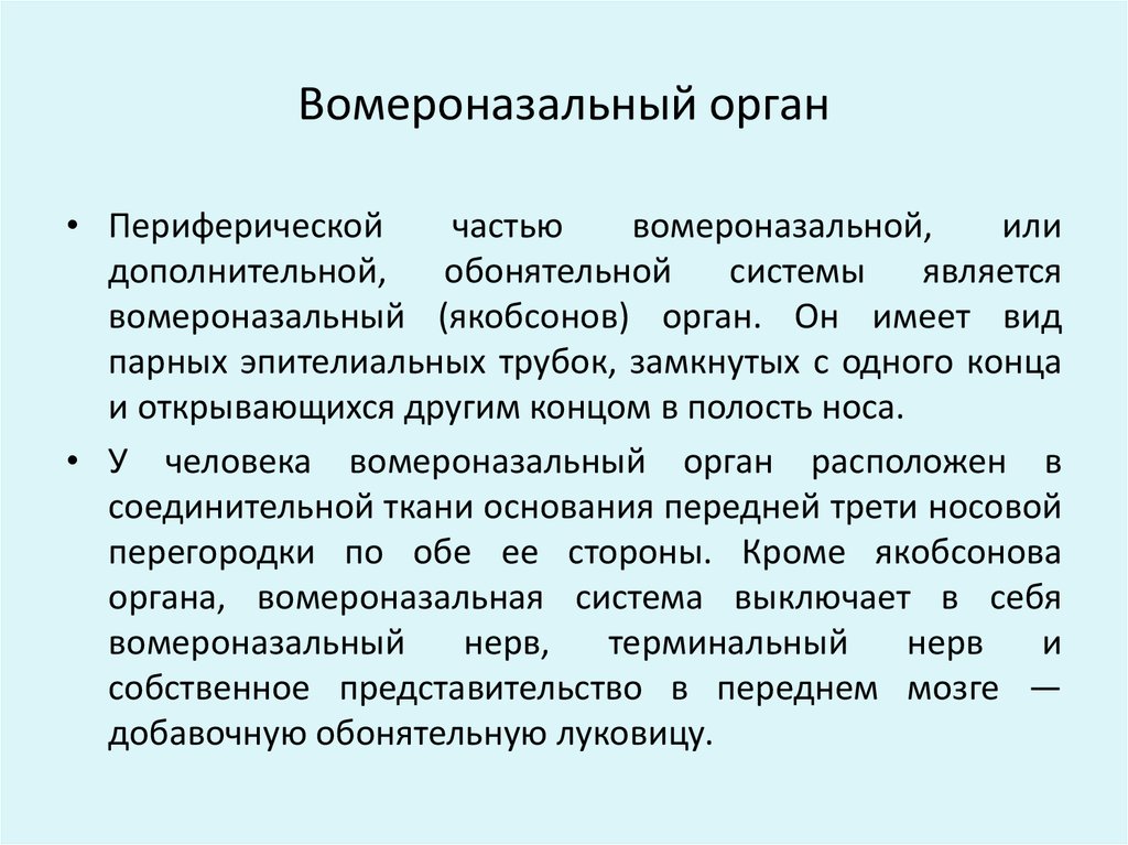 Возможность орган. Вомероназальный (Якобсонов) орган. Вомероназальный орган анализатор человека. Якобсонов орган (вомероназальный орган) расположен. Восеро-назальный орган.