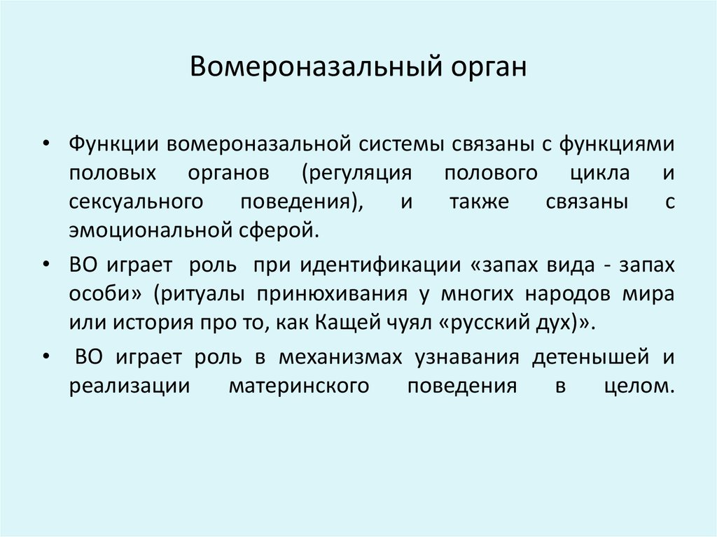 Системы связаны. Вомероназальный (Якобсонов) орган. Вомероназальный орган функции. Вомероназальный орган анализатор человека. Вомероназальный орган строение.