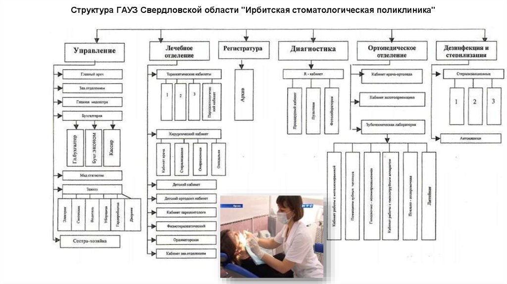 Схема стоматологической поликлиники структура