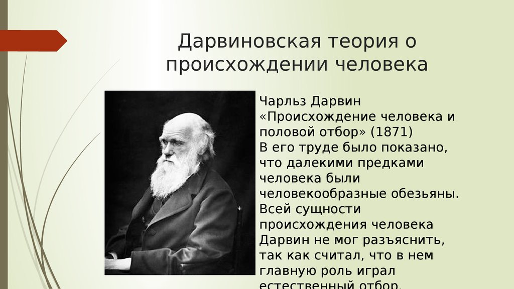 Презентация гипотезы происхождения человека биология 11 класс