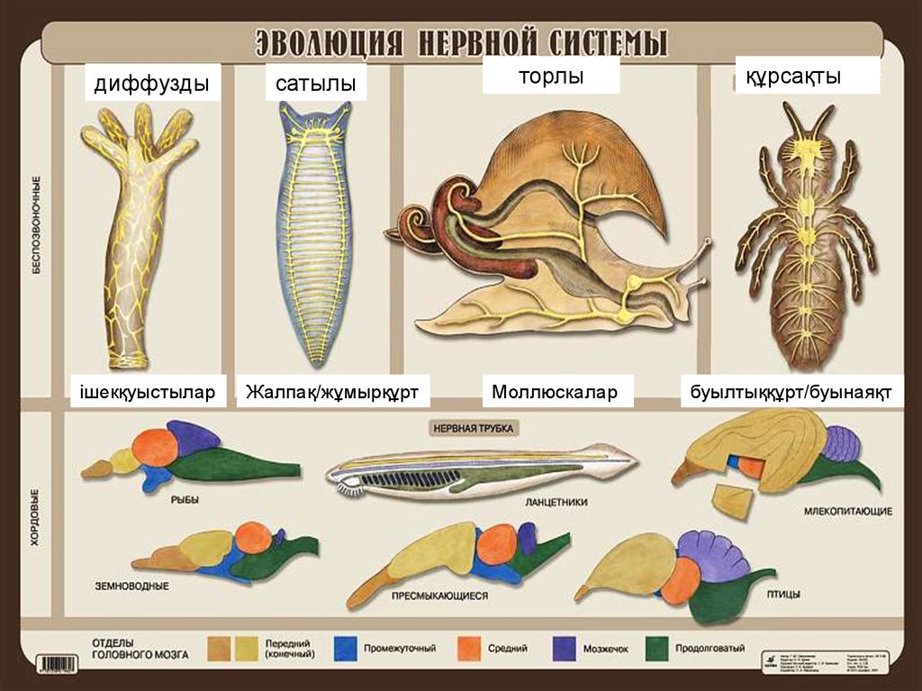ВКонтактеде қарт адамдармен порно көру