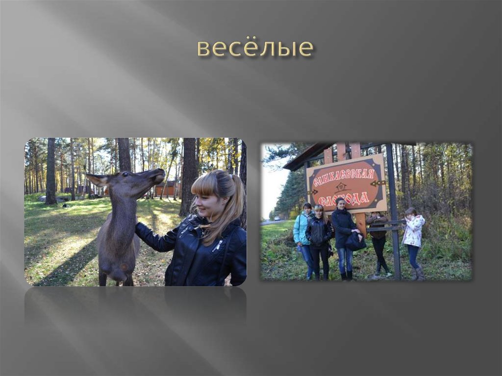 весёлые