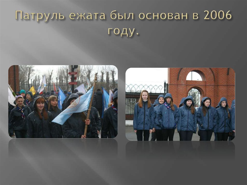 Патруль ежата был основан в 2006 году.