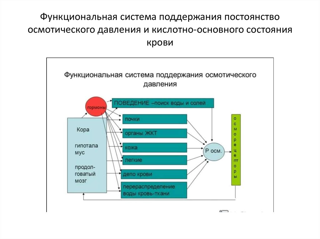 Поддержания осмотического давления