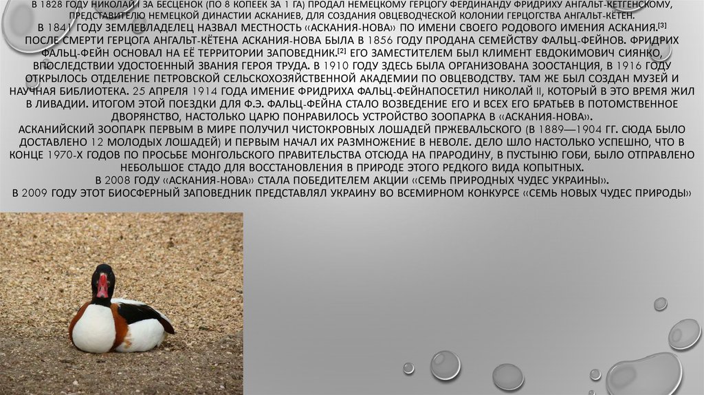 В 1828 году Николай I за бесценок (по 8 копеек за 1 га) продал немецкому герцогу Фердинанду Фридриху Ангальт-Кетгенскому,