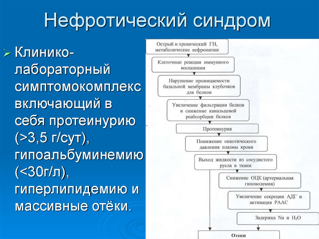 Нефротический синдром патогенез схема