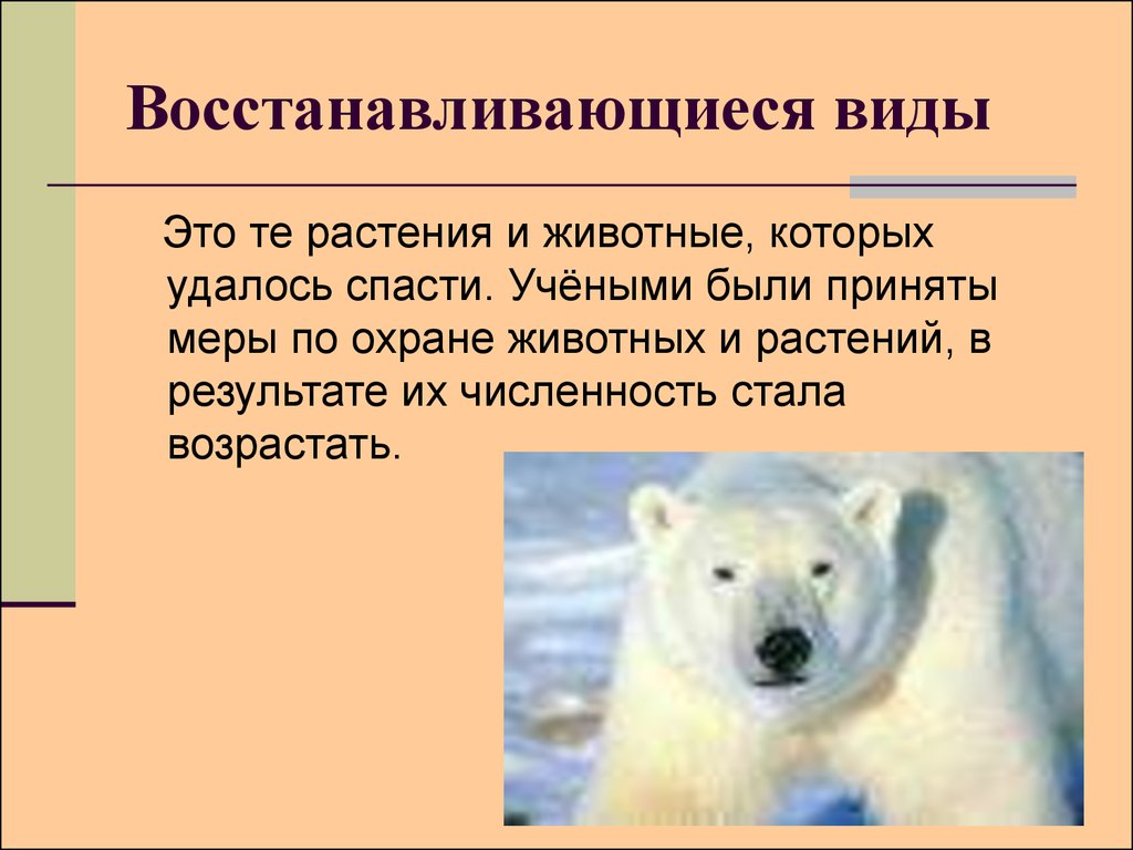 Вид восстановленный. Восстановленные виды животных. Восстанавливающиеся животные из красной книги. Красная книга восстановленные виды животных. Восстанавливающиеся виды растений.