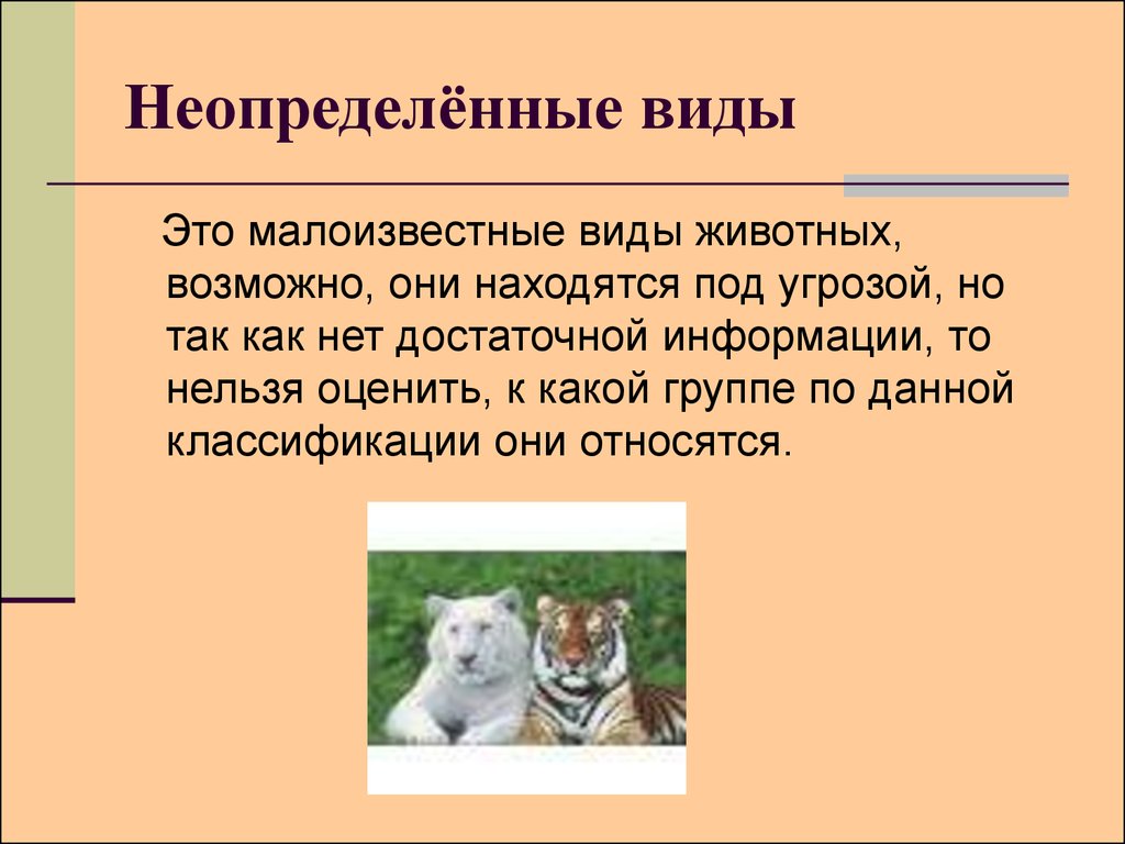 Возможно они. Неопределенные виды животных. Малоизученные виды животных. Неопределенные виды животных из красной книги. Неопределенные виды в красной книге.