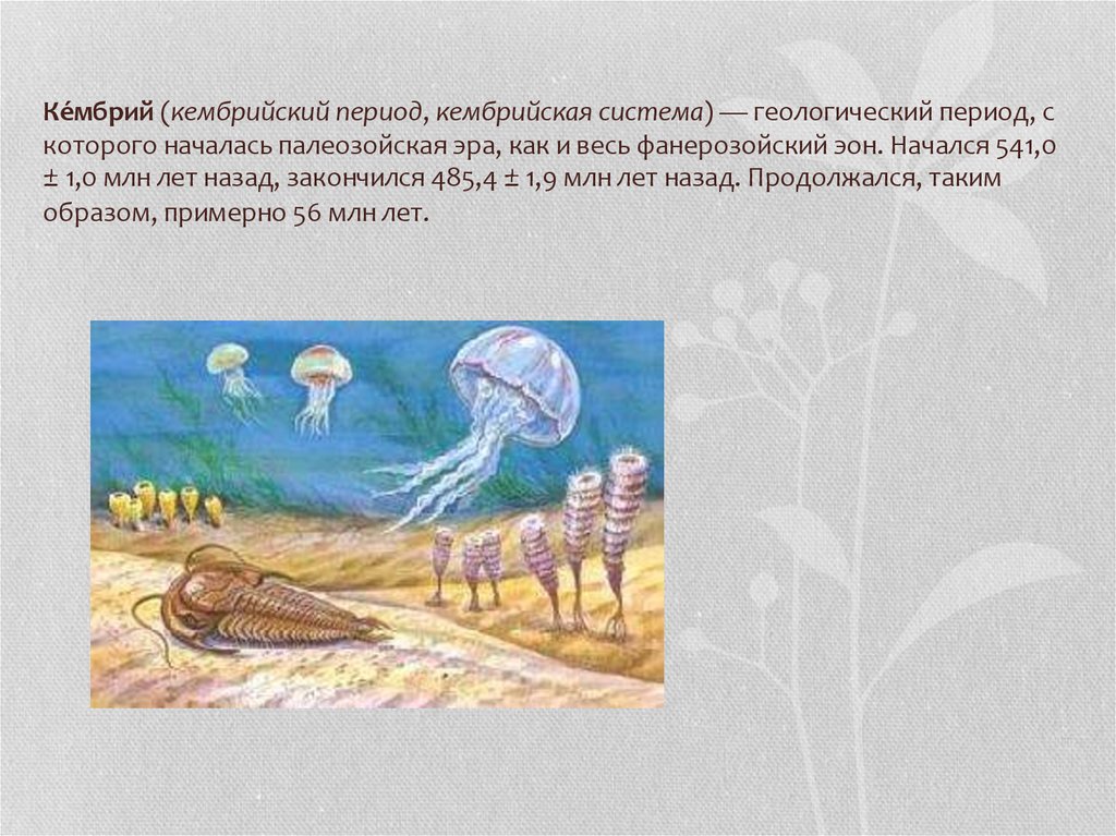 Легкий период. Кембрийский период. Кембрийский период Геология. Система Кембрий. Кембрийская система в геологии.