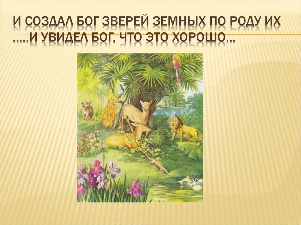 Что создал бог. Создал Бог зверей земных. Создание животных Богом. И создал Бог зверей земных по роду их …..и увидел Бог, что это хорошо…. Бог создал растения.