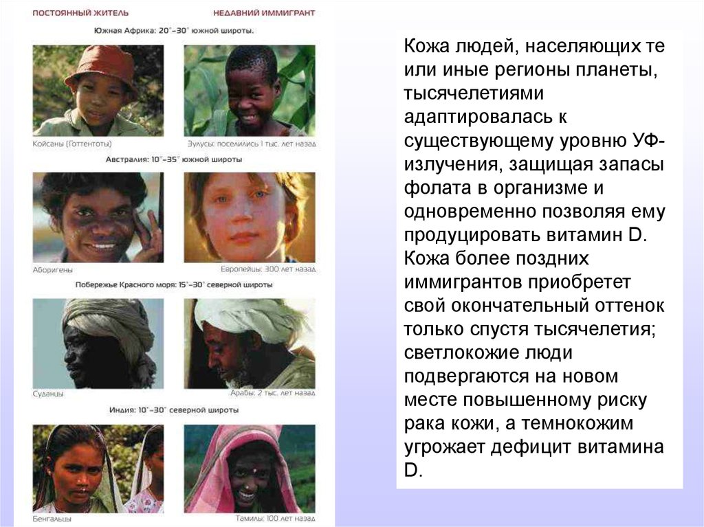 Пигментация. Полиморфизм - презентация онлайн