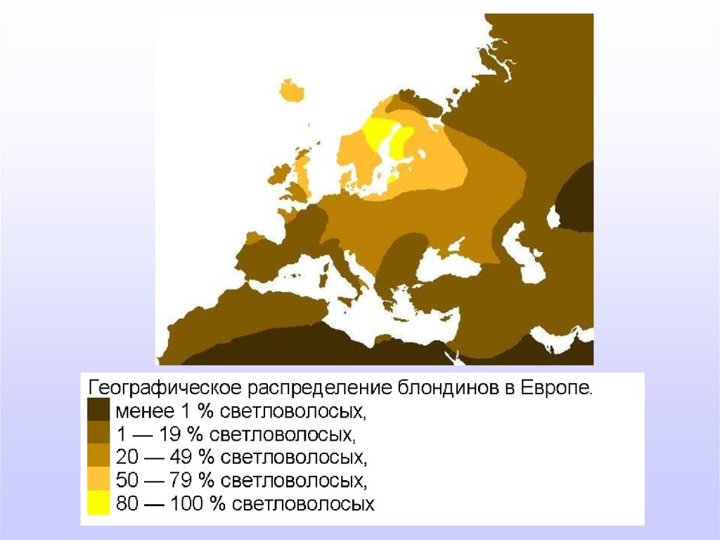 Карта распространения блондинов в мире