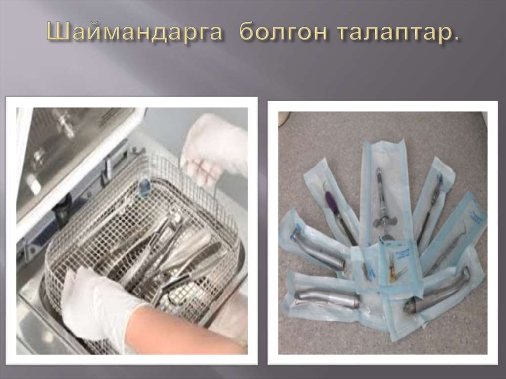 Шаймандарга болгон талаптар.