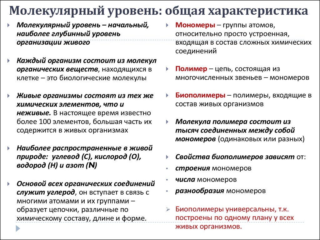 Молекулярный уровень организации живой материи значение и роль в природе презентация 11 класс