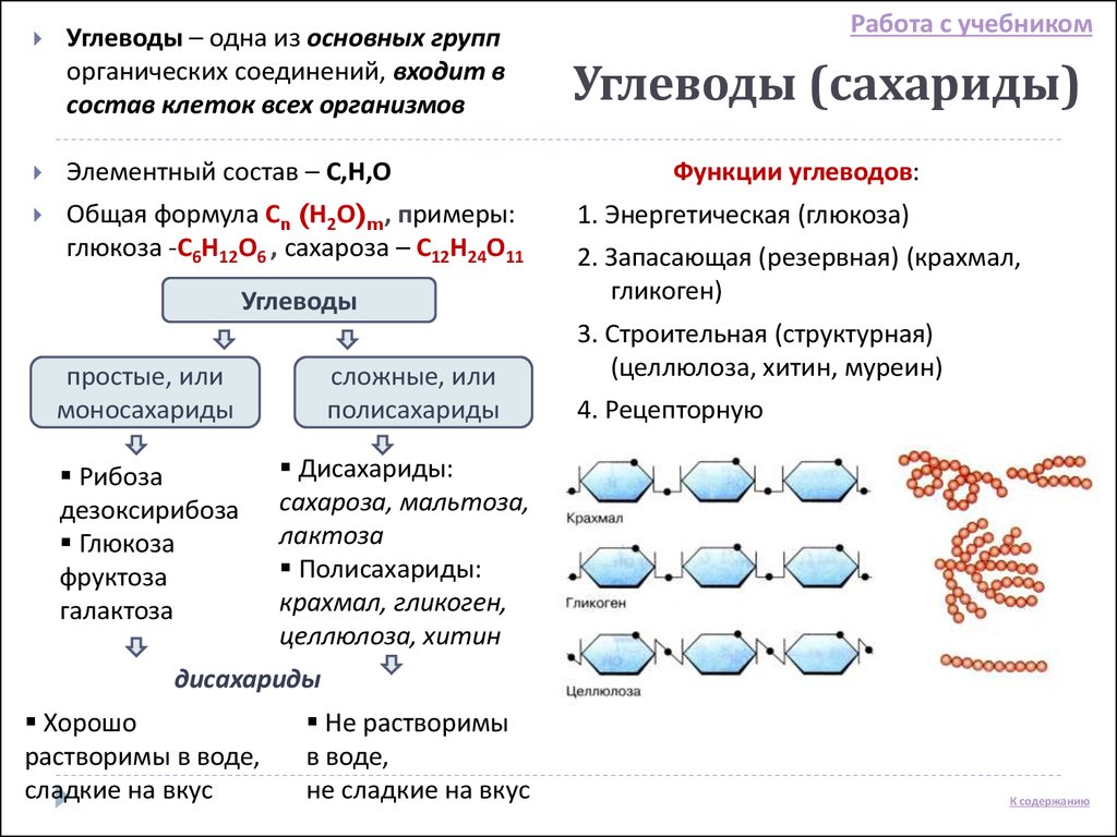 Углевод белки нуклеиновые кислоты. Химический состав клетки углеводы. Углеводы химическая организация. Химическая организация клетки углеводы. Строение углеводов биология.