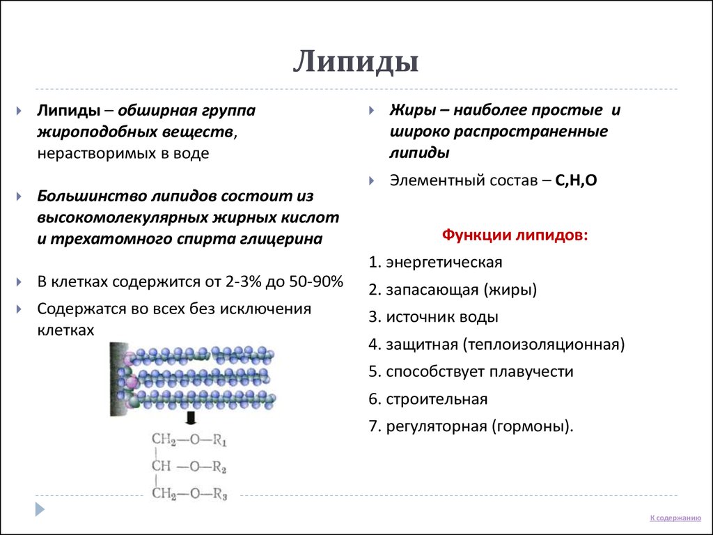 Уровни молекулярной организации клетки