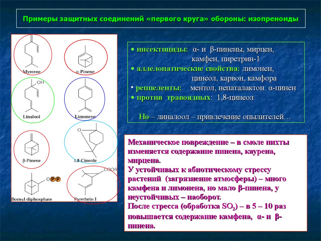 Первые соединяют вторые