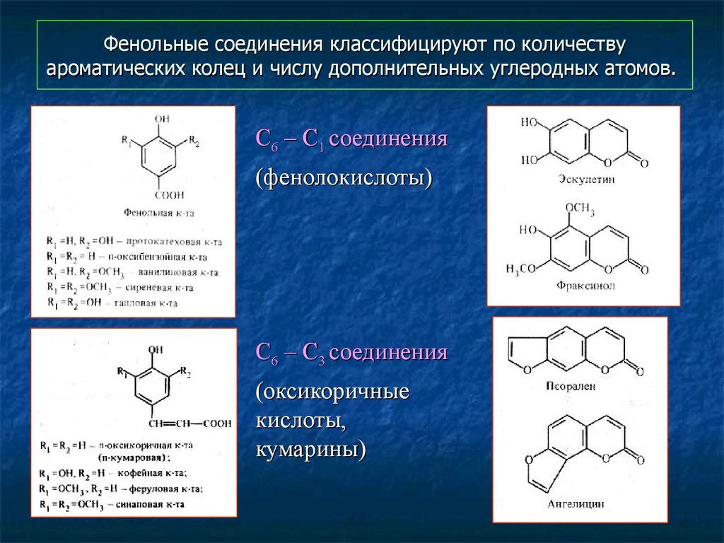 Фенольные соединения фото