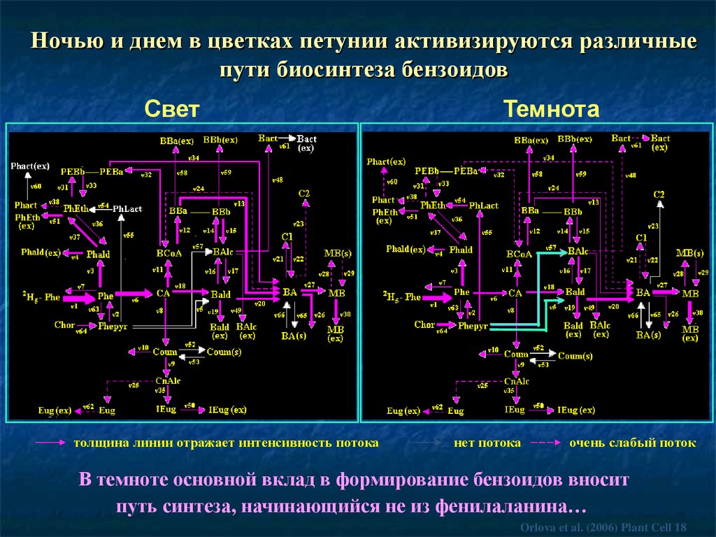 Net потоки. Нет потока.