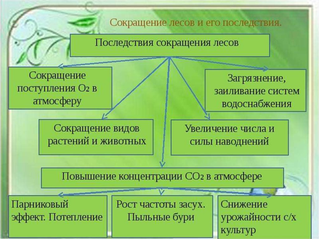 Последствия вырубки леса схема