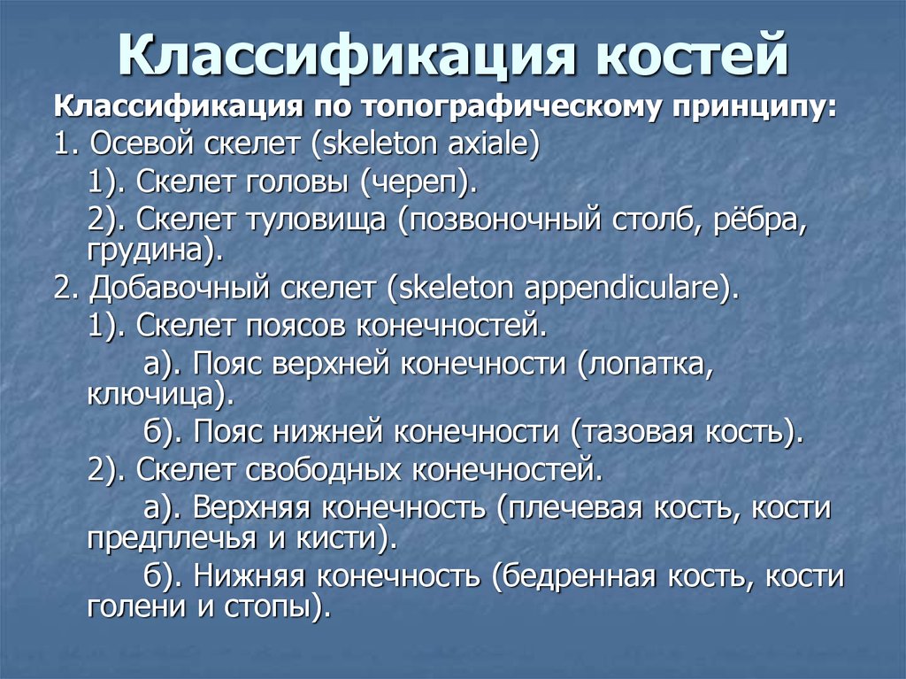 Классификация костей. Принципы классификации костей. Классификация костей животных. Систематика костей.