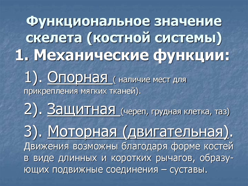 Значение скелета. Значение костной системы в организме. Функциональное значение скелета. Механические функции костной системы. Расскажите о значении костной системы в организме.