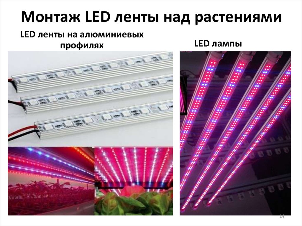 Монтаж LED ленты над растениями