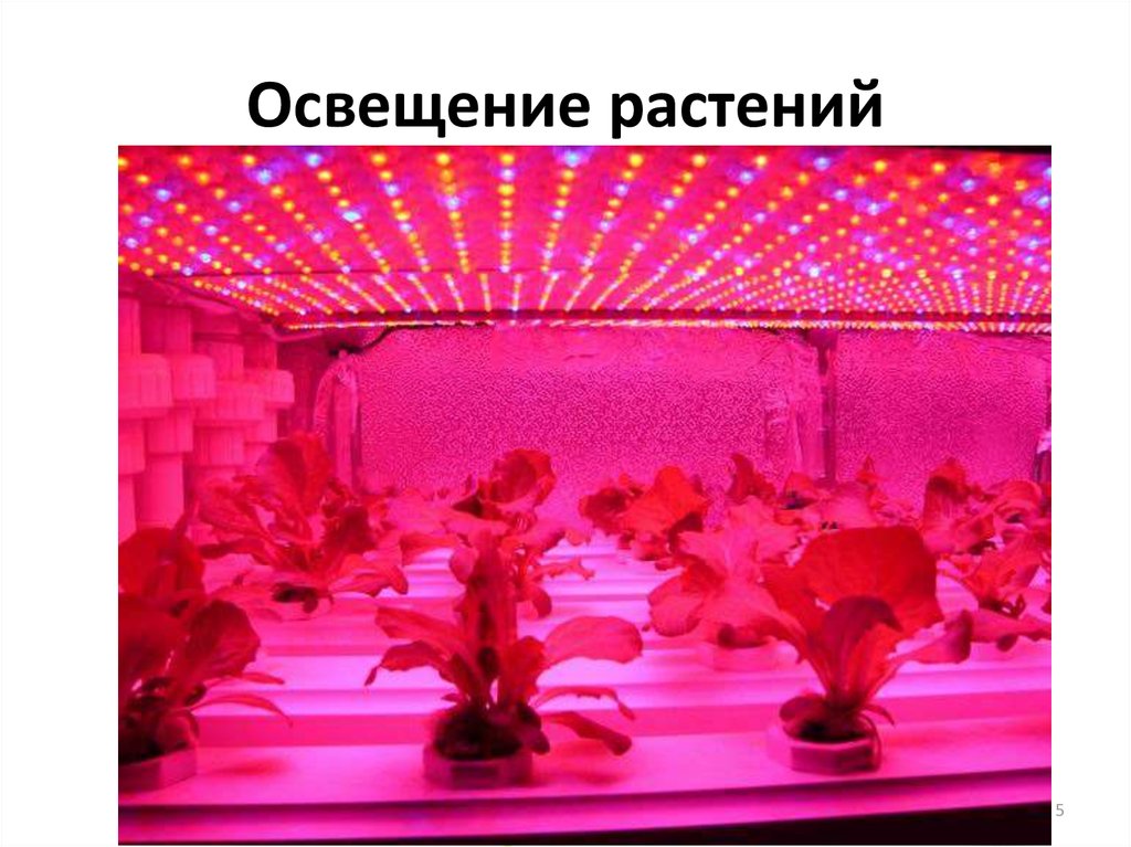 Освещение растений