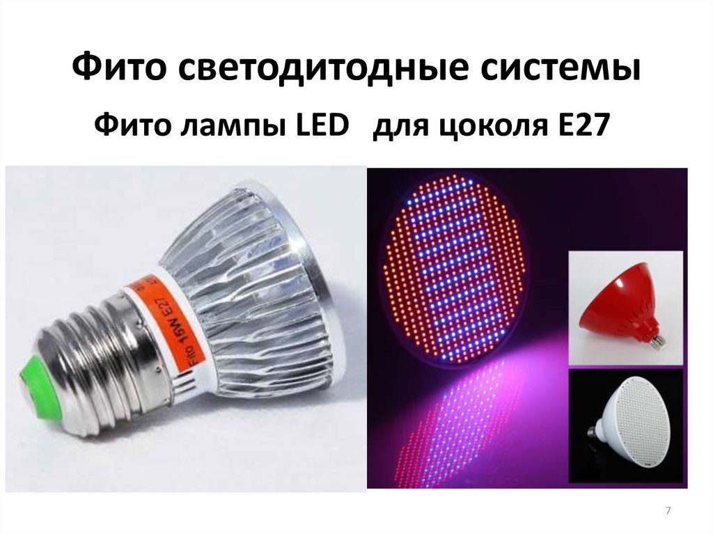 Фито светодитодные системы