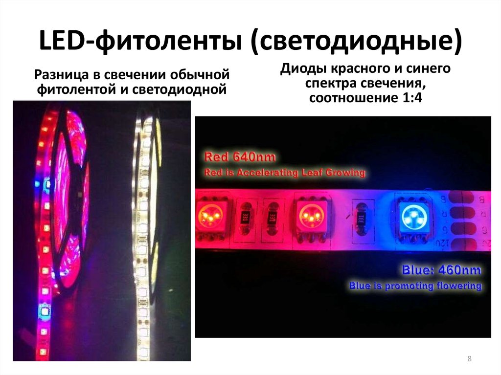 LED-фитоленты (светодиодные)