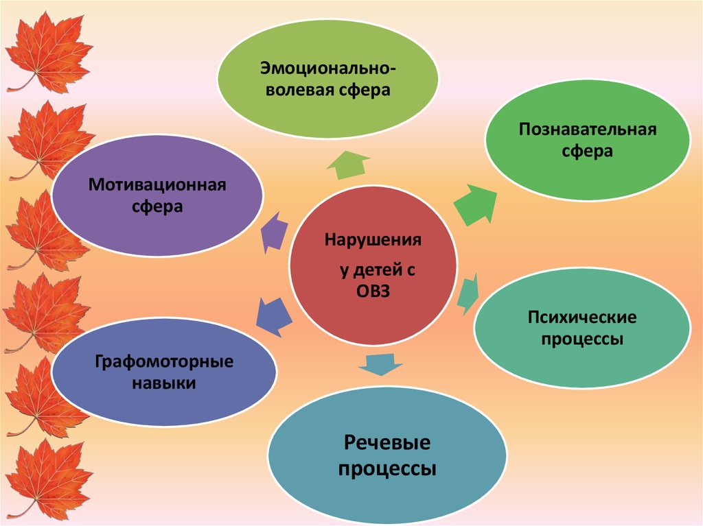 Особенности волевой сферы. Познавательная сфера детей с ОВЗ. Когнитивная сфера ребенка с ОВЗ. Сферы развития детей с ОВЗ. Эмоционально-волевая сфера у детей с ОВЗ.