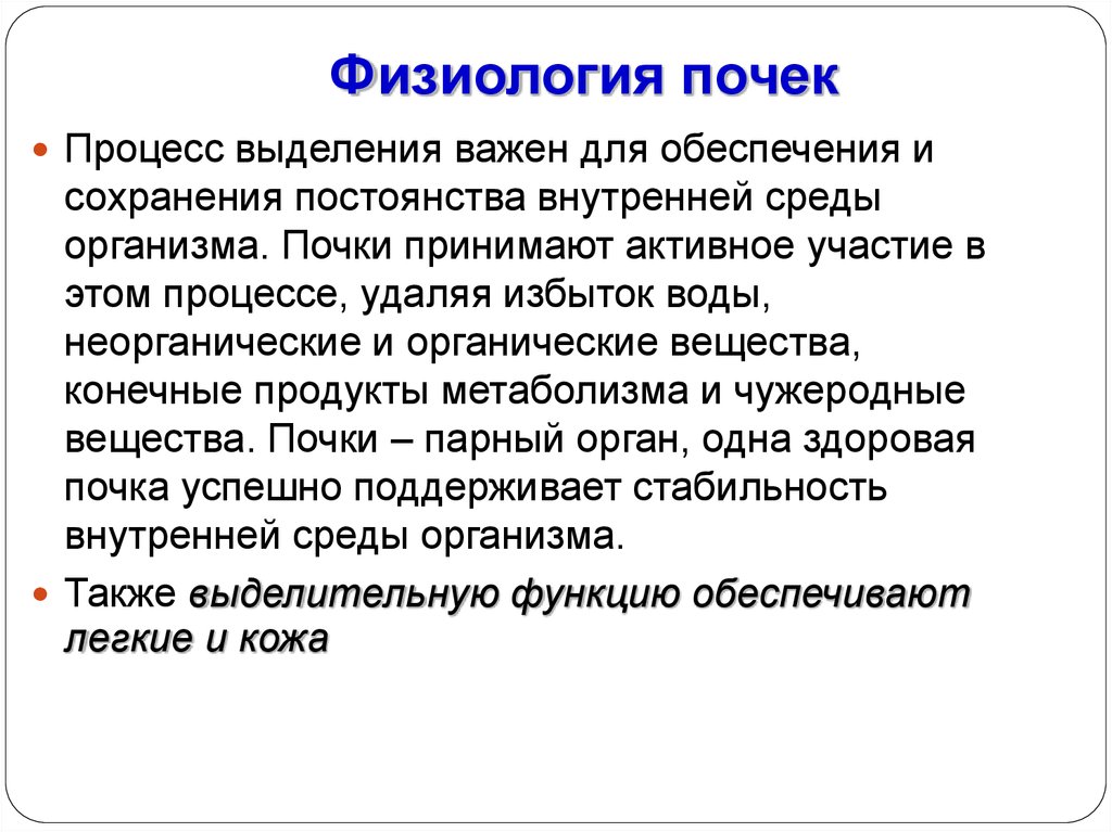 Выделить важнейшую. Функции почек физиология. Функции почек нормальная физиология. Функции почек физиология кратко. Система выделения физиология.