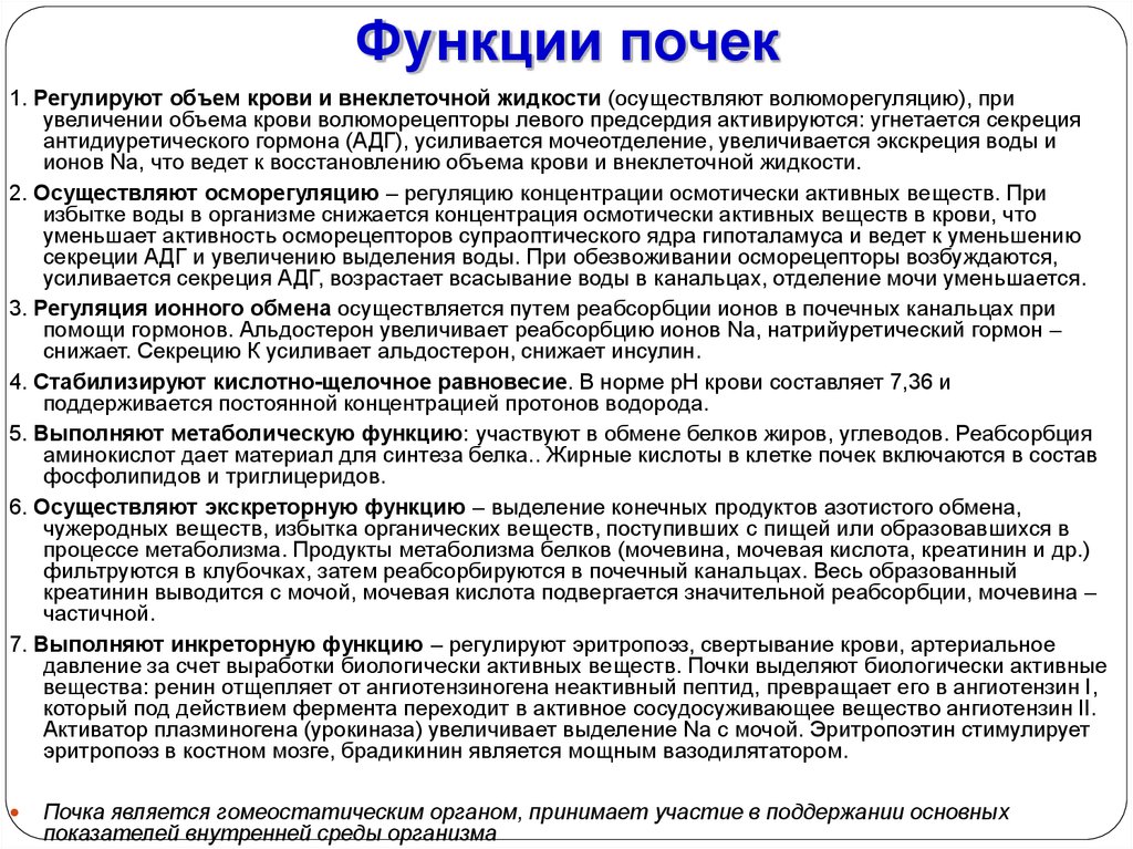 Обмен воды в почках. Функции почек. Функции почек в организме человека. Функции почек регулируются. Роль почек в организме человека.