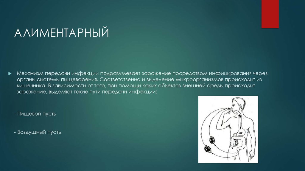 Пищевой механизм передачи. Алиментарный механизм передачи инфекции. Алиментарный путь передачи инфекции это. Алиментарный механиз мередачи. Механизмы передачи.