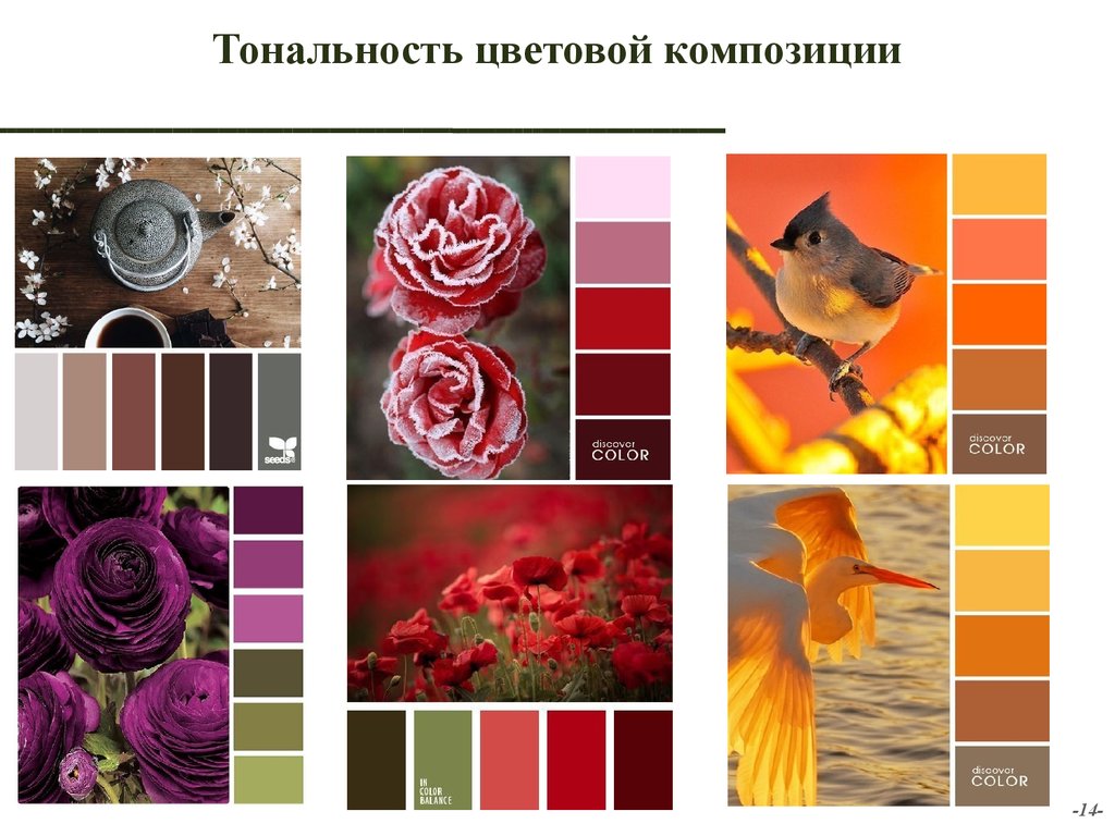 Оттенки цветов примеры