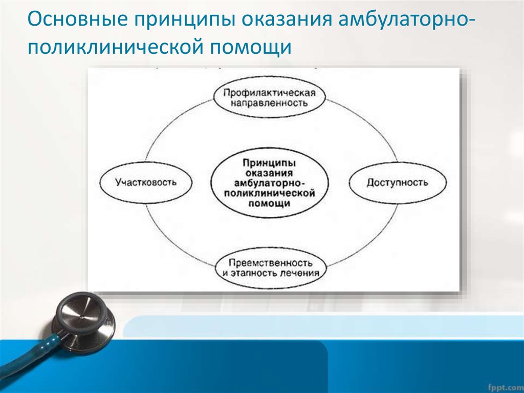 Деятельность организации основные принципы