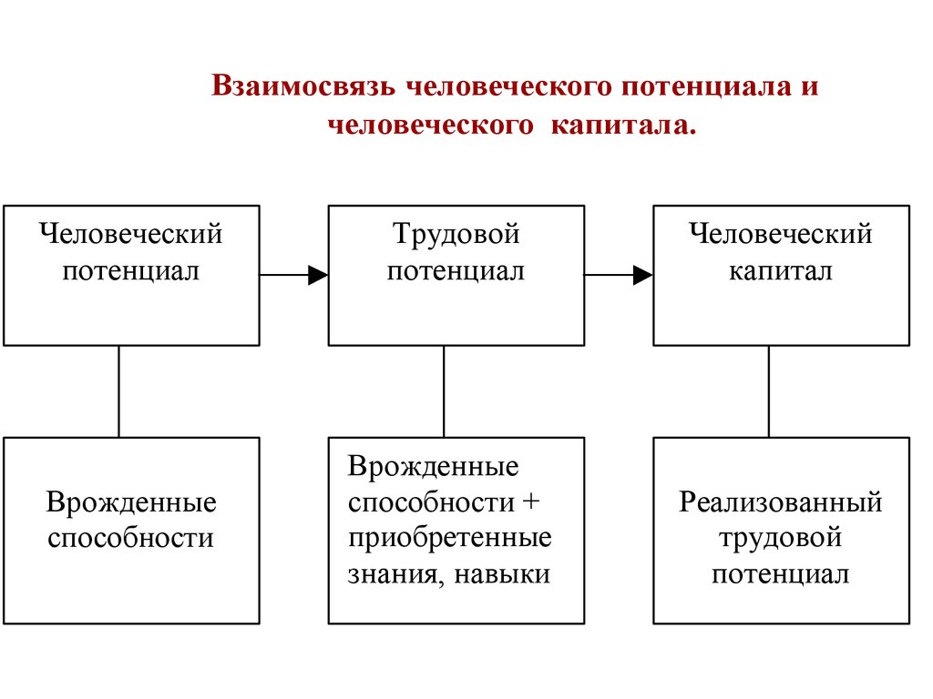 Роль человеческого потенциала. Взаимосвязь человеческого потенциала и человеческого капитала. Человеческий потенциал. Стадии формирования человеческого капитала. Человеческий потенциал и человеческий капитал.