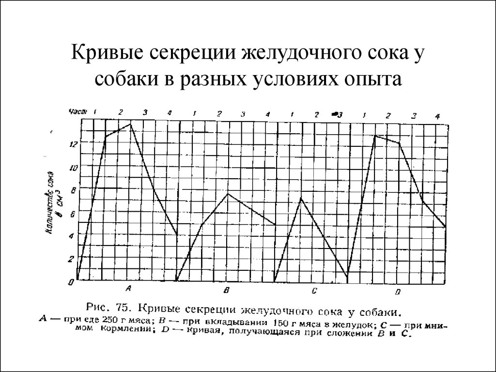 4 нарисуйте кривые желудочной секреции при употреблении основных продуктов мяса хлеба и молока