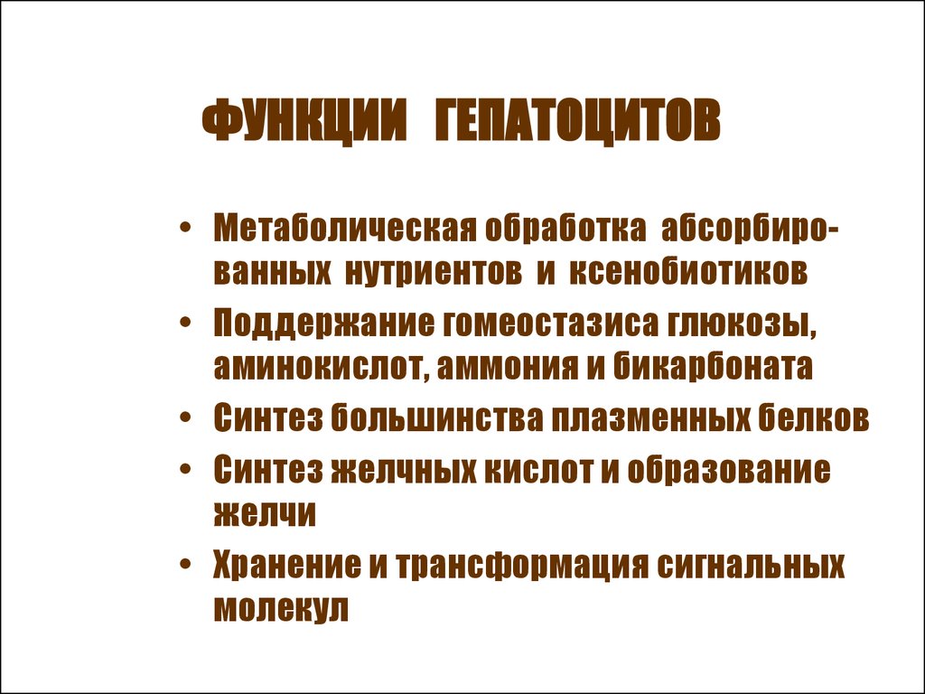 Роль в 12. Функции гепатоцитов. Гепатоциты выполняют следующие функции.. Гепатоцит выполняет функции. Функции нутриентов.